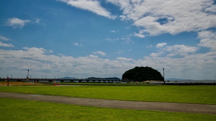 暑い中で芝生のお手入れです