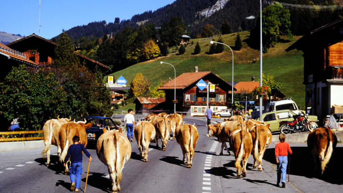 スイスアルプスの牧くだり　デジタル画像で復活する