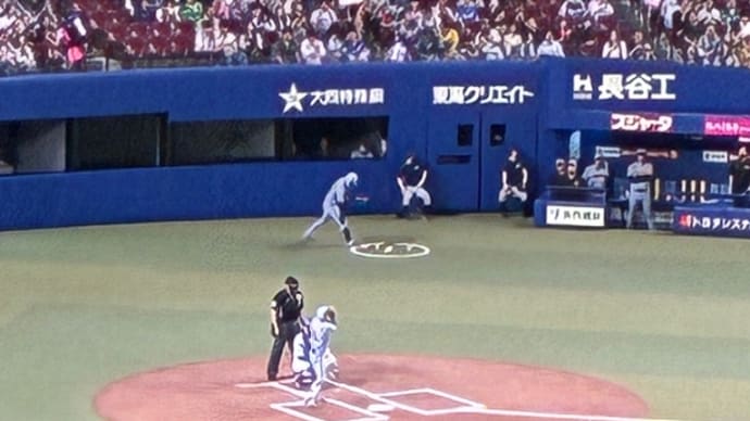 阪神タイガース負けました。