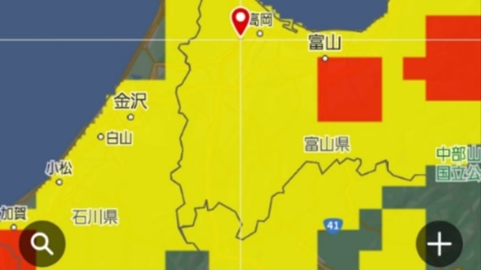 ひまわり🌻