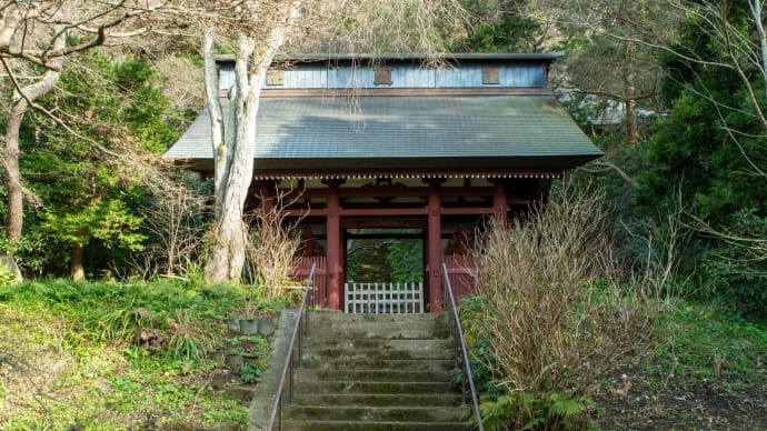 2023大寒 鎌倉の古刹 苔寺・妙法寺