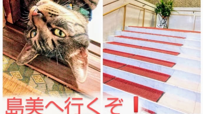 遂に、故理伊(コリー)2作品共完成だあ❗️ 金曜日クラス(8月3週間)