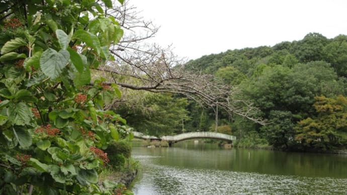 4か月ぶりの薬師池公園