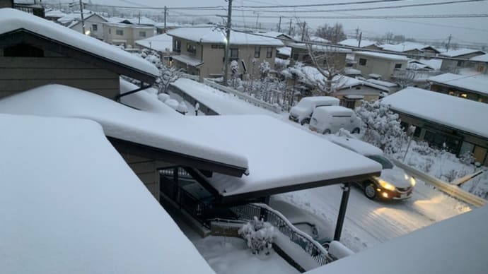 寒波襲来❗️この冬一番の大雪
