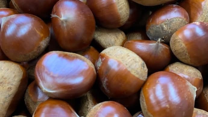 栗の食べ方研究中!