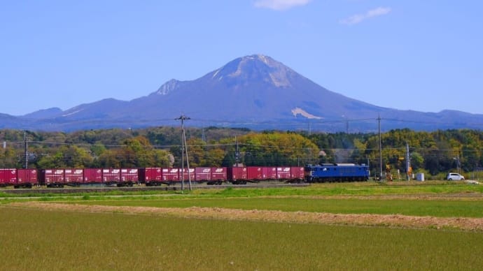 新緑間近の大山をバックに走るEF64-1000番台牽引コンテナ貨物列車【伯耆町吉長踏切:伯備線」2021.APR
