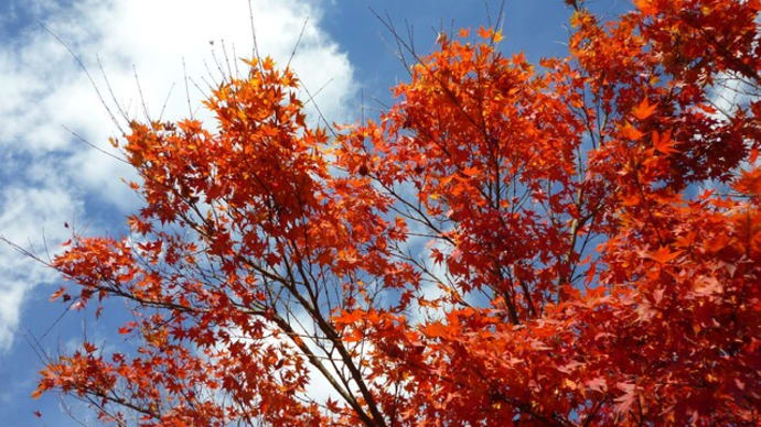 愛なき時代に生まれたわけじゃない~ONE・NATIVE STRANGER・やさしくなりたい‐反町隆史‐松嶋菜々子‐氷室京介‐斉藤和義
