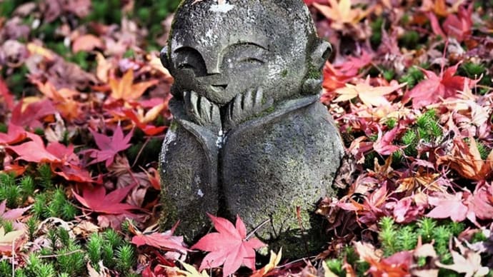 微笑み地蔵の紅葉庭園 ~圓光寺 ①