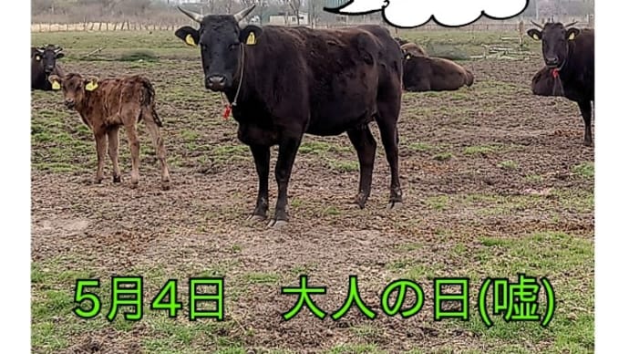 サロマに立て!【Just keep going】(③超お散歩)