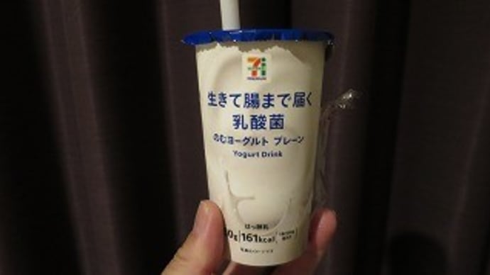 2022JAL修行 5回目 その2