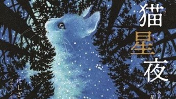2025年初版絵本・児童書 & テーマ「ねこ&⭐」