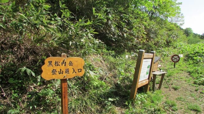 黒松内町の滝【ぶな滝】 二回目