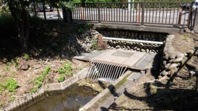 2024埼玉河川ポタリング『野火止用水』⑨富士見橋~西武拝島線東大和市駅