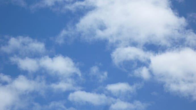 梅雨明けとともに一気に暑くなりました