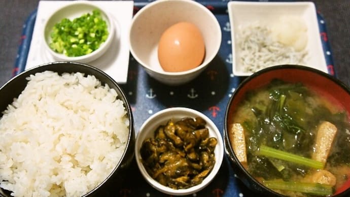 家で朝ご飯(新米・ふさおとめに小松菜と油揚げとわかめの味噌汁、納豆、生卵、しらすおろし、葉唐きゅうり漬)(2020年11月2日)