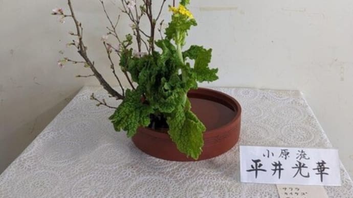 篠窪（しのくぼ）の隣町 渋沢駅に小原流の平井様が「春の花」をいける　(2024/02/14）