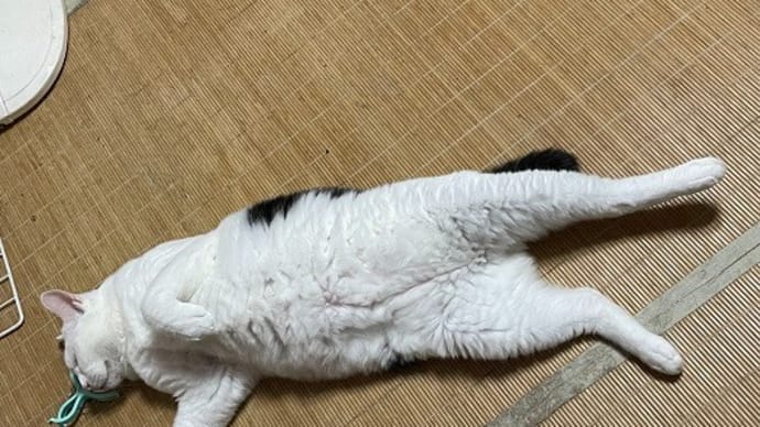 そんな時期