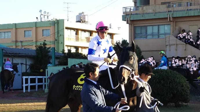 🐴チャンピオンズC 2021