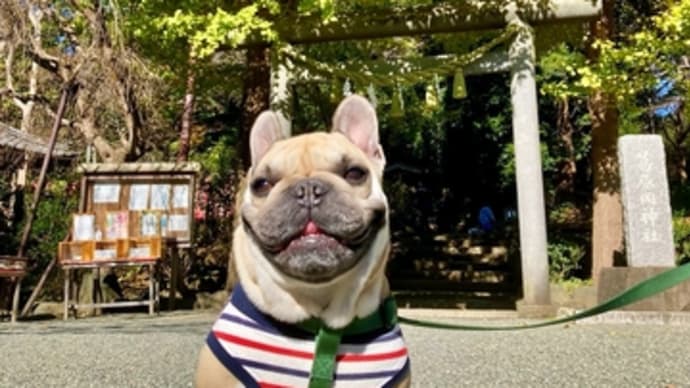 鎌倉紅葉狩り