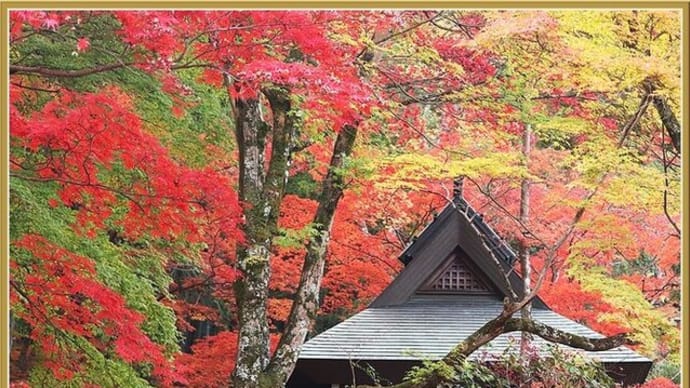 楠妣庵観音寺の紅葉(2021.11 No.19)