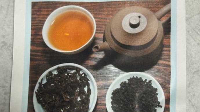 台湾紅茶テイスティング