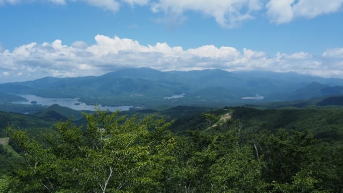 湖沼展望♪...初めての猫魔ヶ岳(2021.7.25)#3 下山...その途中、蝉の羽化を見る