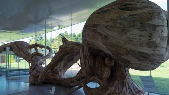●金沢21世紀美術館(2) 展示作品「死の海」 「カラー・アクティブティ・ハウス」 「タレルの部屋 ブルー・プラネット・スカイ」 「喪失の美学」