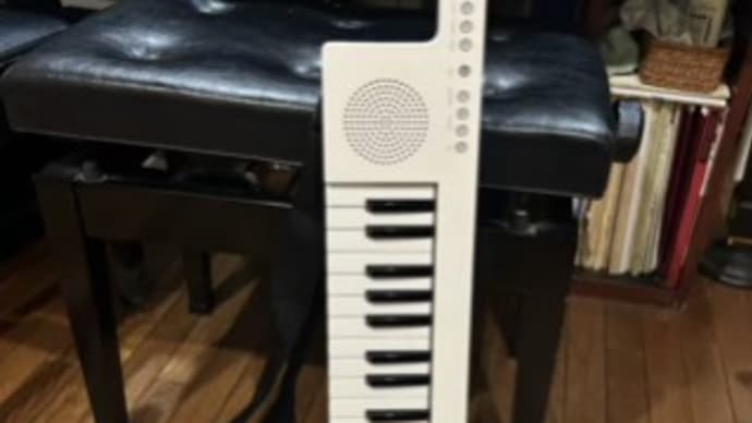 ゴマちゃん、ソノジェニックでシックスコード発見🎵