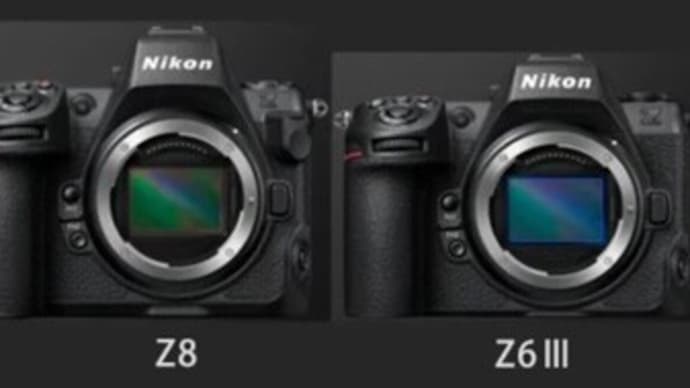  Nikon Z6 III?