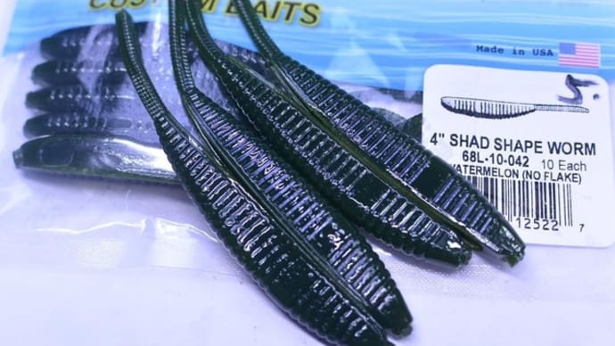 タフな時にはゲーリー シャッドシェイプワーム4