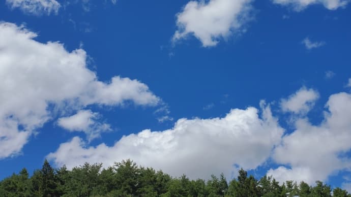 介護は異次元空間だ~発達障がいの母の見守り。だけではすまなくなった～