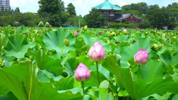 上野恩賜公園散策