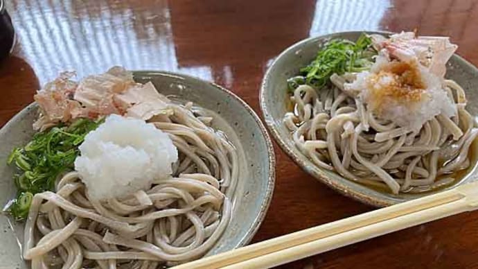 「そば処 一福」の塩だし&醤油だしおろしそば!