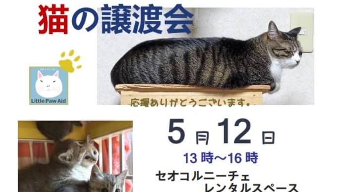 桑名市で譲渡会
