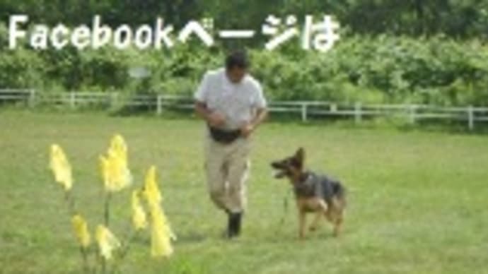 2019年　今年もお世話になりました　&　新年会のご案内