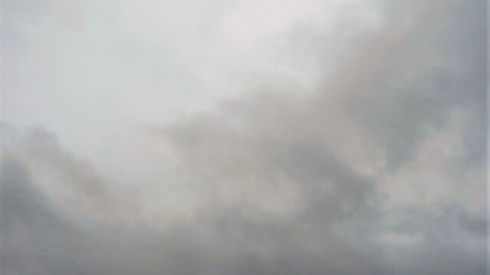 1日中、雨でした。