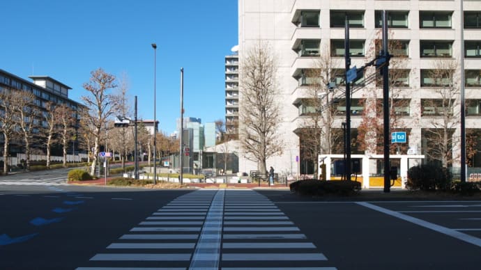 1月の霞が関:霞が関二丁目交差点から国道1号線・桜田門交差点前まで PART2