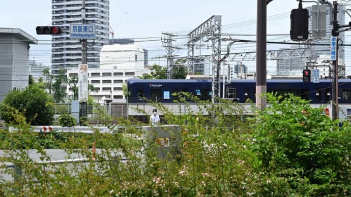 大阪を散歩 天満から淀屋橋