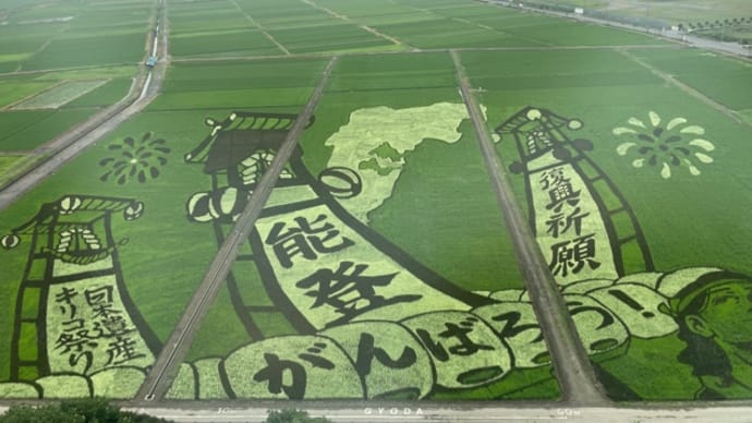 板橋ロールコールお休みの日は行田市の田んぼアートと古代蓮見物です!