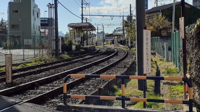 黄葉酣の雑司ヶ谷霊園