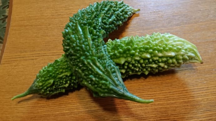 柿かと思った