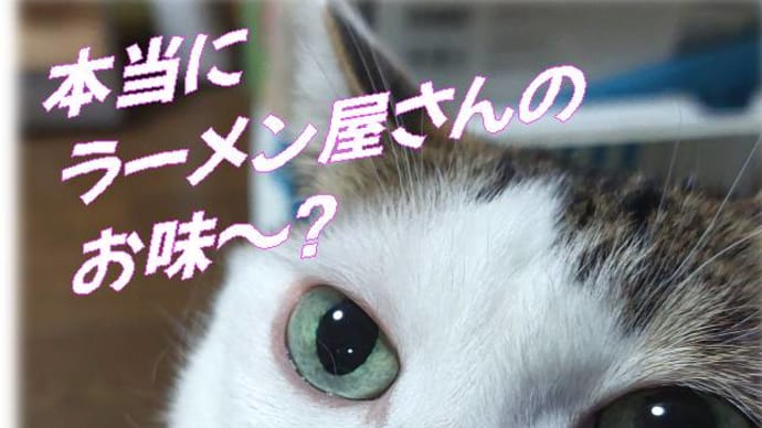 らーめん店で食べる美味ちぃ～唐揚げの作り方、男の料理＆半休ボランティア