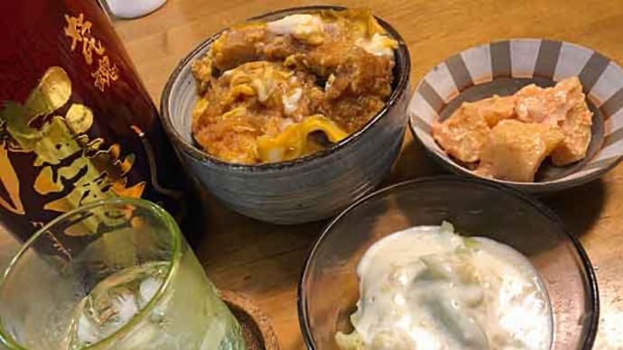 今宵はカツ丼だ!