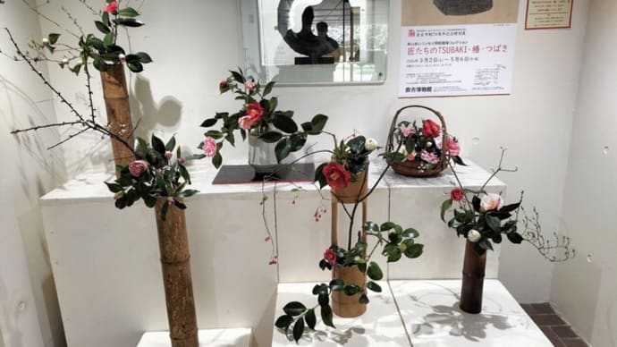 倉吉市の市花である椿関連の展示会を見に行った。