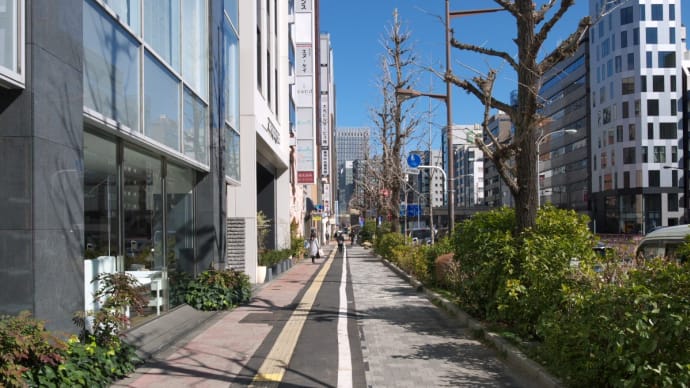 2月の東銀座:昭和通り・銀座二丁目東交差点から新京橋交差点まで PART1