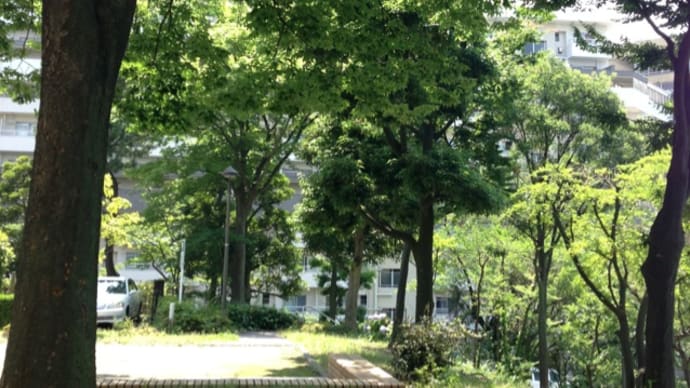 宇野浩二 『思ひ川』後編
