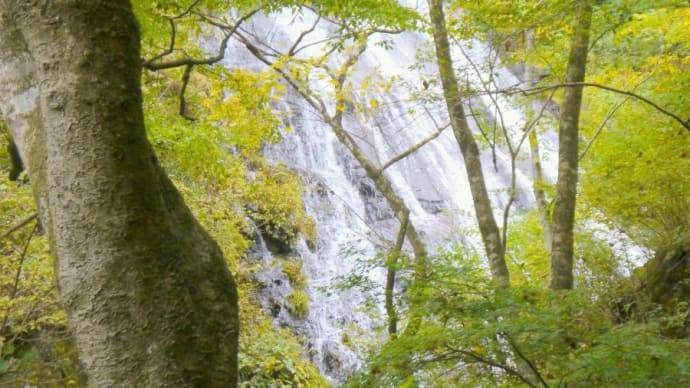 秋の秩父路・・・丸神の滝・・・の紅葉はもうすぐ
