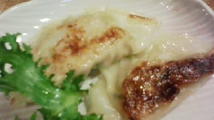ぶえん鰹餃子の出来上がり!