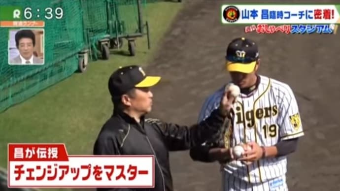 阪神ドラゴンズ(かっ!?)