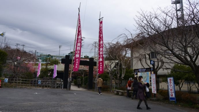 雛のつるし飾り「文化公園　雛の館」～伊豆稲取①（回想）